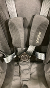 Shop Cybex Gazelle S Modular Stroller, 2023, Moon Black, Silver Frame at GoodBuy Gear