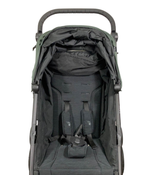 Shop Baby Jogger City Mini GT2 Stroller, 2021, Briar Green at GoodBuy Gear