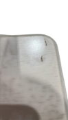 Shop Stokke Tripp Trapp High Chair Complete² + Newborn Set, Nordic Grey, Whitewash at GoodBuy Gear