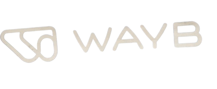 Shop WAYB Pico Portable Car Seat, 2023, Midnight Sky at GoodBuy Gear