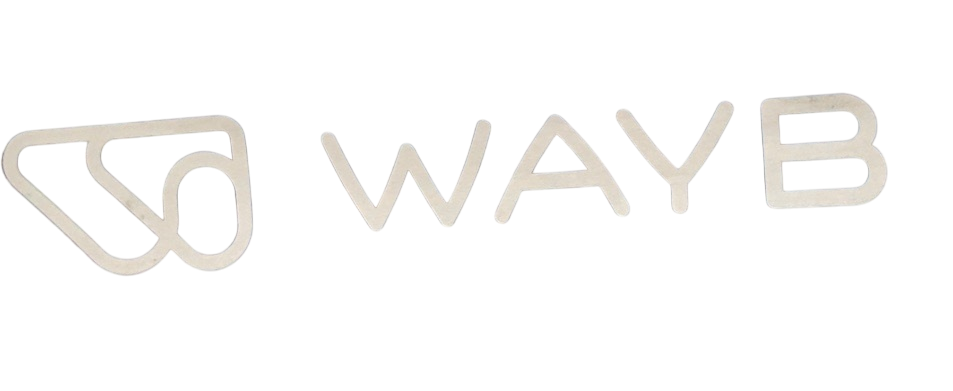 Shop WAYB Pico Portable Car Seat, 2023, Midnight Sky at GoodBuy Gear