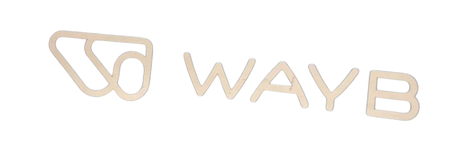 Shop WAYB Pico Portable Car Seat, 2024, Midnight Sky at GoodBuy Gear