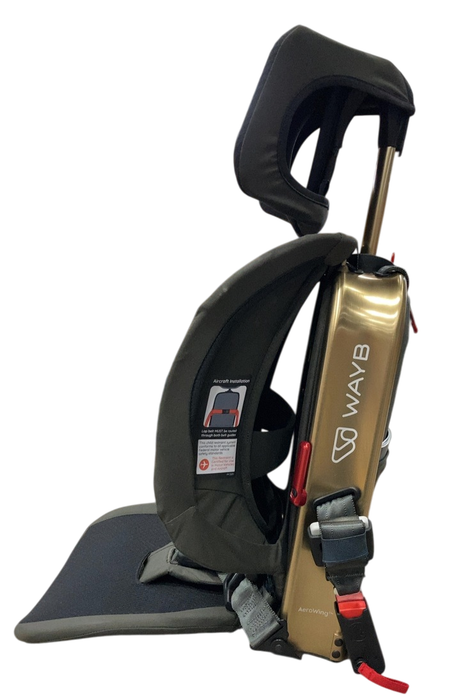 Shop WAYB Pico Portable Car Seat, 2023, Earth at GoodBuy Gear