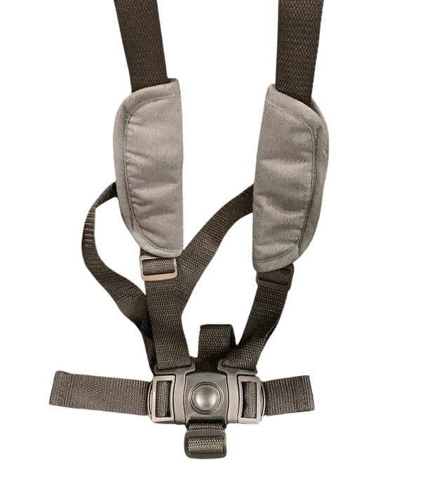 Shop Graco Ready2Grow 2.0 Double Stroller, 2022, Rafa at GoodBuy Gear