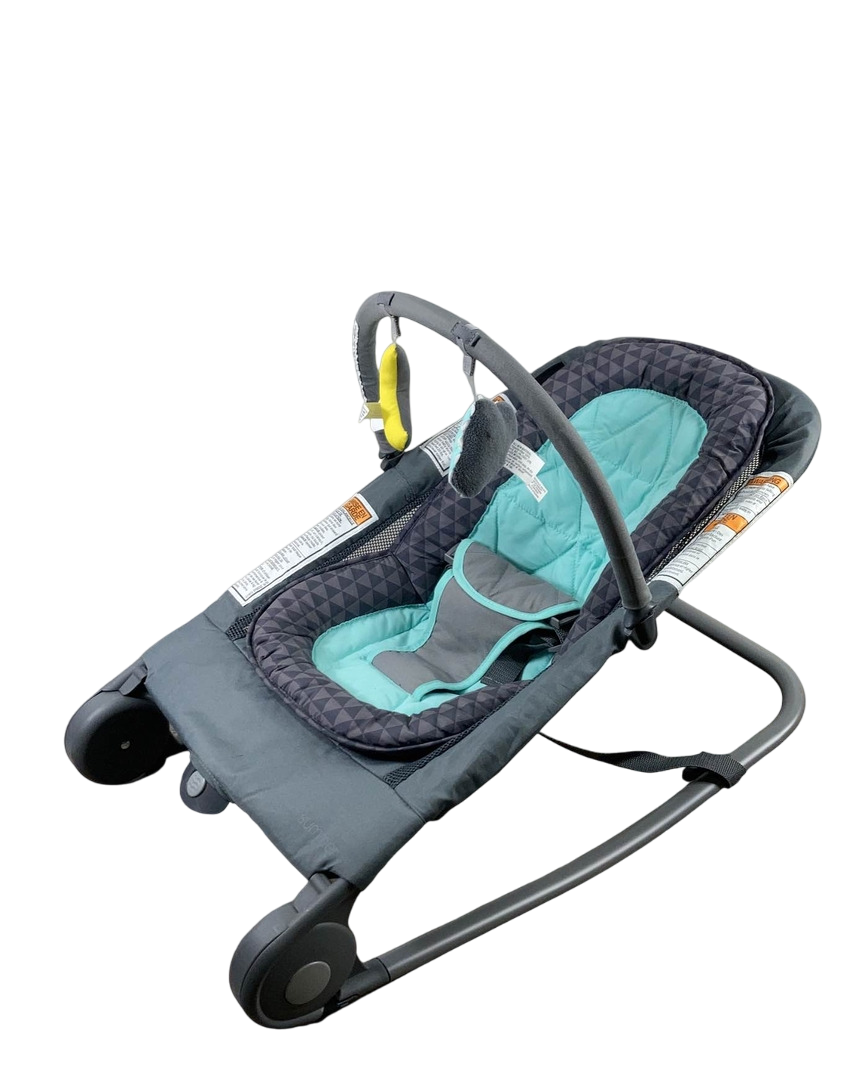summer infant duo Summer Infant 2-in-1 Baby Bouncer And Rocker Duo, Gray and Teal