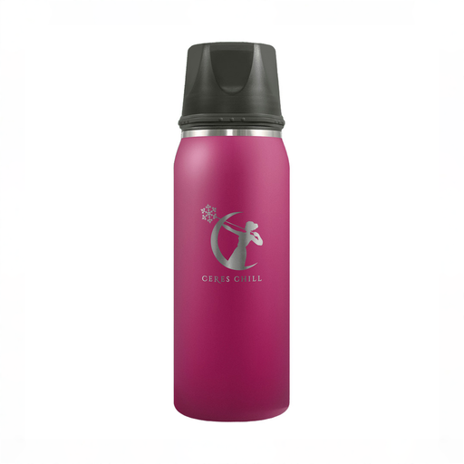 Shop Ceres Chill Legacy Breastmilk Chiller (32oz), Plum at GoodBuy Gear