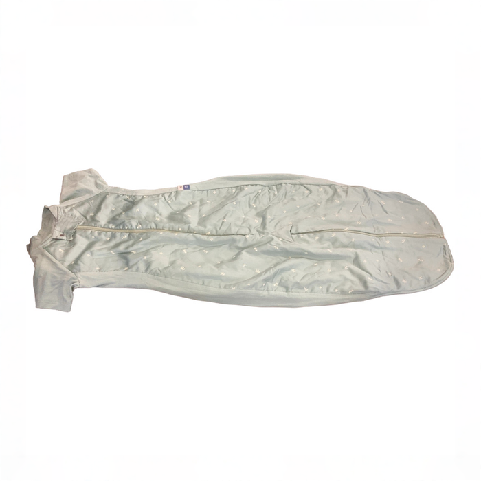 Shop ErgoPouch Sleep Suit Bag 1.0 TOG, 2-4 Years, Sage at GoodBuy Gear