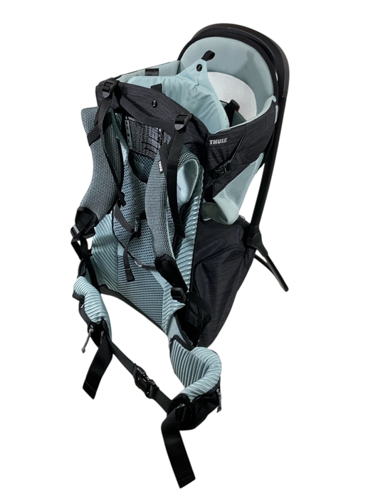 Shop Thule Sapling Child Carrier, Alaska Blue at GoodBuy Gear