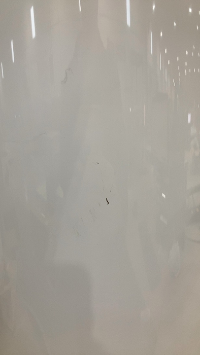 Shop Diaper Genie Platinum Diaper Pail, White at GoodBuy Gear