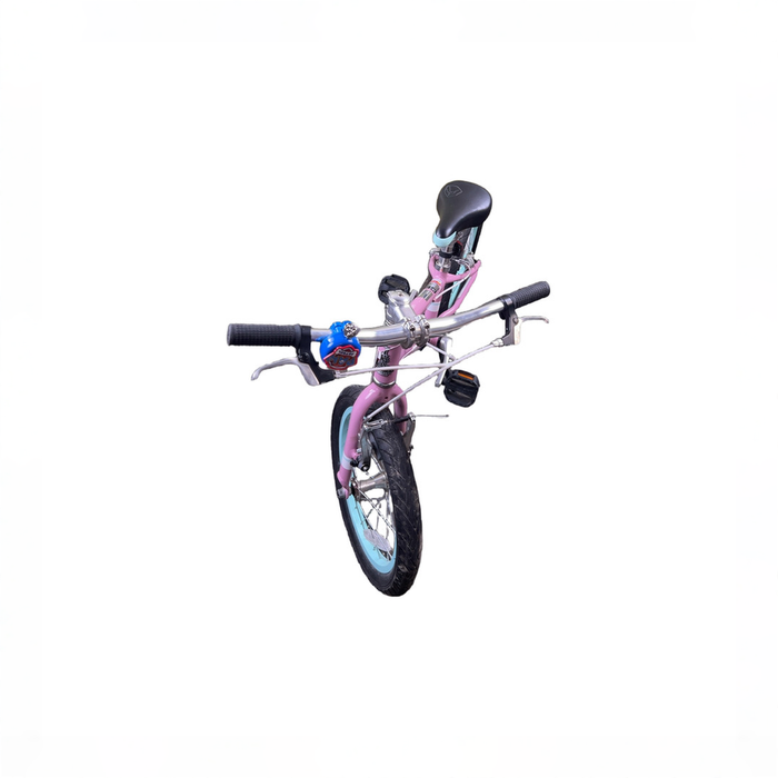 Shop Raleigh Lily 16" Kid's Bike, Pink at GoodBuy Gear