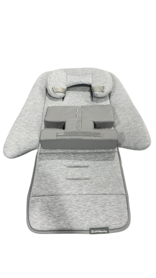 Shop UPPAbaby Infant SnugSeat, Grey at GoodBuy Gear