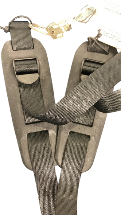Shop Thule Yepp 2 Maxi, Majolica Blue, Rack Mount at GoodBuy Gear