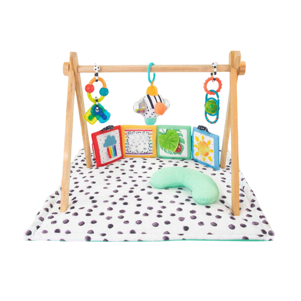 Shop Sassy Sensory Stages Developmental Play Gym at GoodBuy Gear