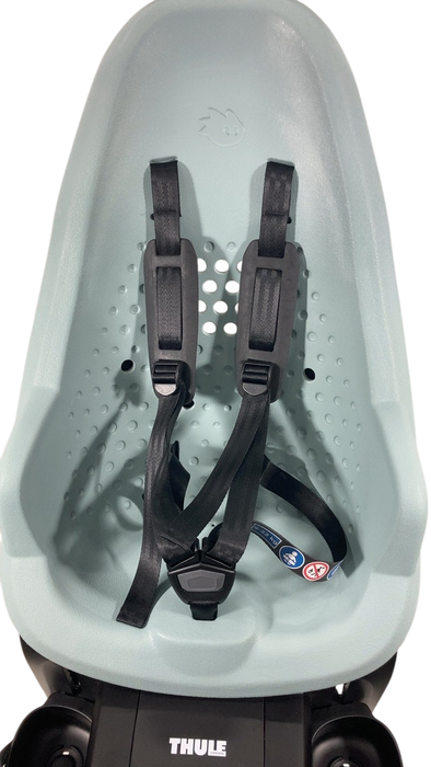 Shop Thule Yepp 2 Maxi, Alaska, Rack Mount at GoodBuy Gear