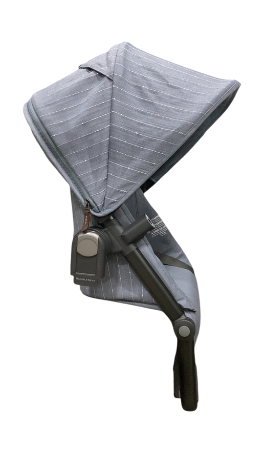 Shop UPPAbaby RumbleSeat V3, 2024, Paige (Pinstripe) at GoodBuy Gear