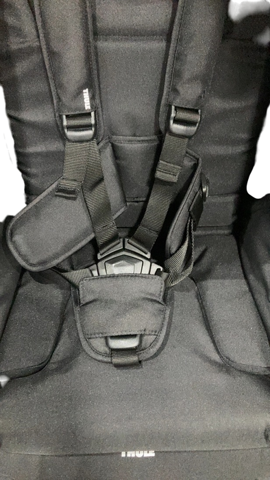 Shop Thule Spring Stroller, 2024, Black, Midnight Black at GoodBuy Gear