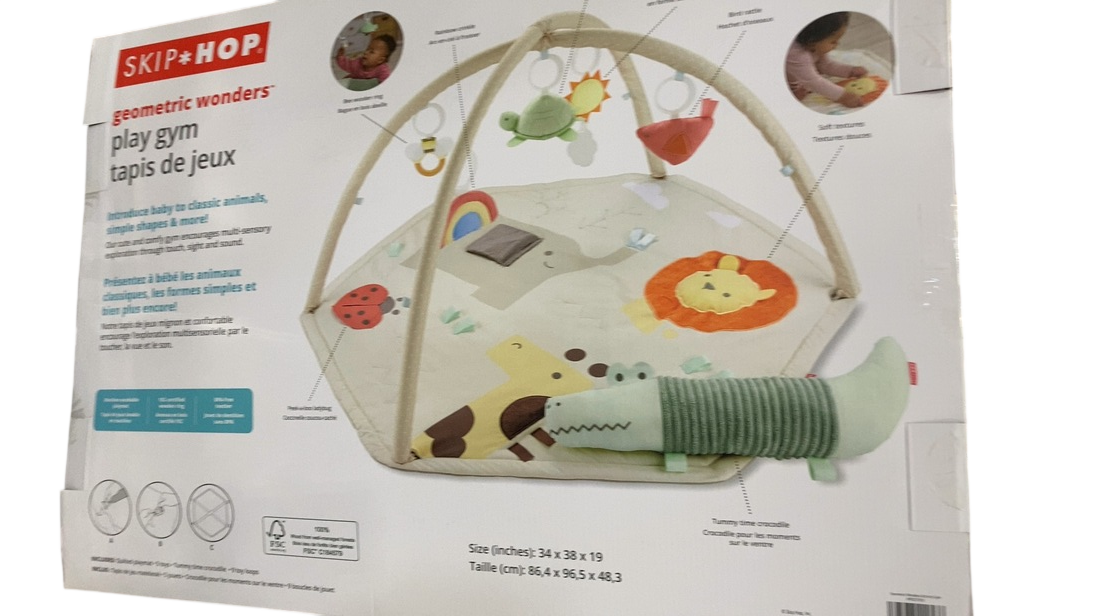 Shop Skip Hop Activity Gym Play Mat, Geometric Wonders at GoodBuy Gear