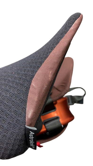 Shop WAYB Pico Portable Car Seat, 2022, Golden Hour at GoodBuy Gear