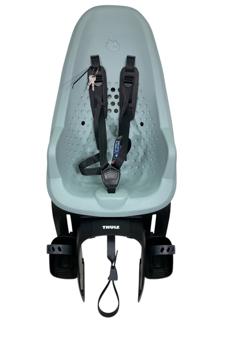 Shop Thule Yepp 2 Maxi, Alaska, Rack Mount at GoodBuy Gear