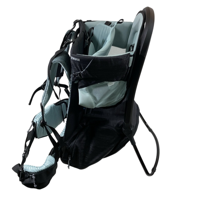 Shop Thule Sapling Child Carrier, Alaska Blue at GoodBuy Gear