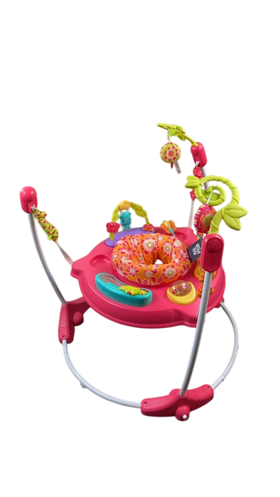 Shop Fisher Price Jumperoo Activity Center, Pink Petals at GoodBuy Gear