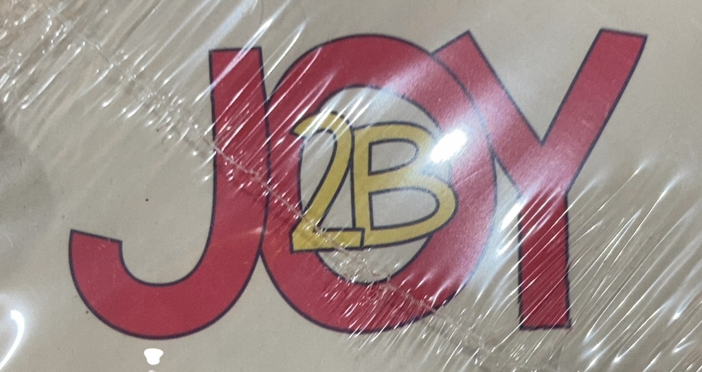 Shop Joy2b Rock Blocks, 36 Pieces at GoodBuy Gear