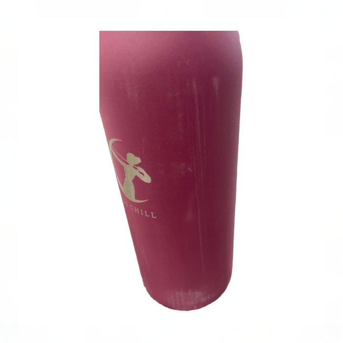 Shop Ceres Chill Legacy Breastmilk Chiller (32oz), Plum at GoodBuy Gear