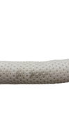 Shop BabyBjorn Cradle at GoodBuy Gear