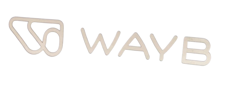 Shop WAYB Pico Portable Car Seat, 2023, Midnight Sky at GoodBuy Gear