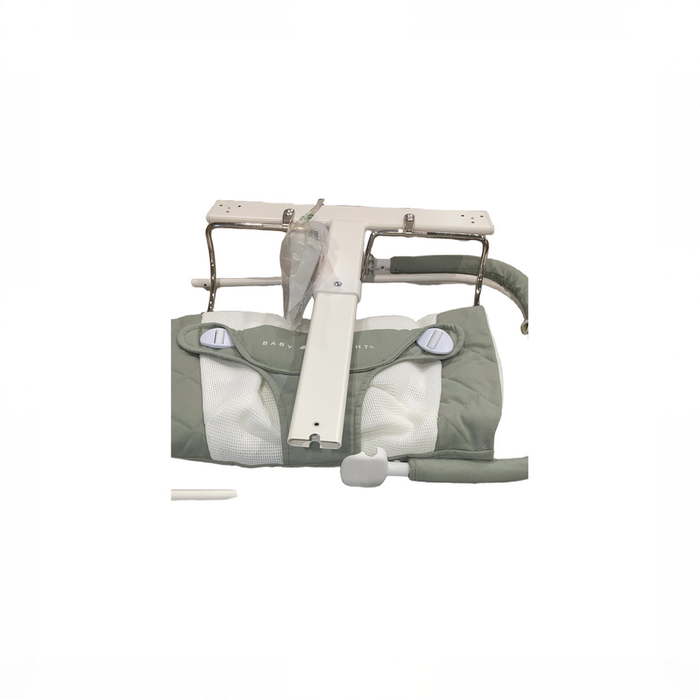 Shop Baby Delight Alpine Deluxe Portable Bouncer, Organic Sage at GoodBuy Gear