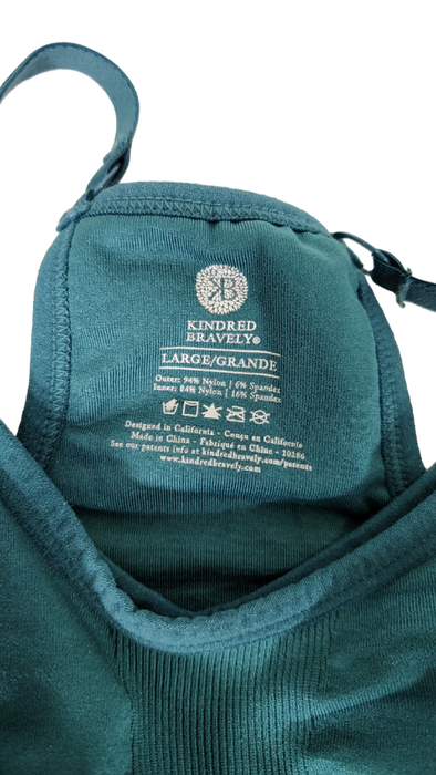 Shop Kindred Bravely Sublime Hands-Free Pumping & Nursing Bra, Busty, Large, Teal at GoodBuy Gear