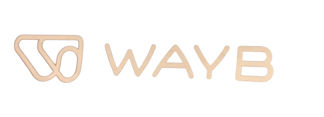 Shop WAYB Pico Portable Car Seat, 2024, Midnight Sky at GoodBuy Gear