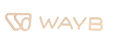 Shop WAYB Pico Portable Car Seat, 2024, Midnight Sky at GoodBuy Gear