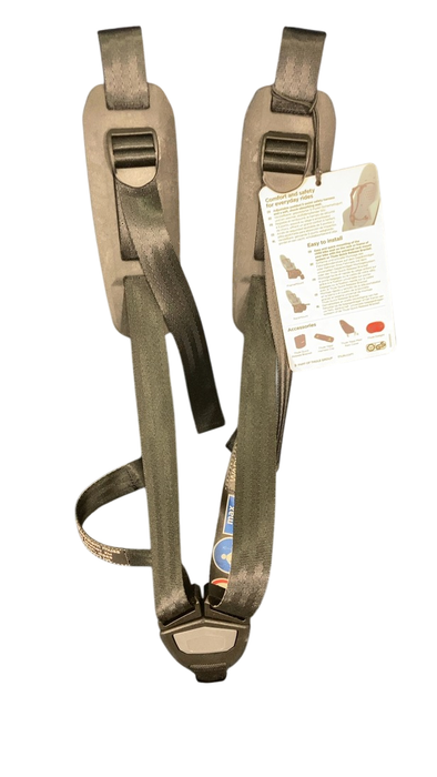 Shop Thule Yepp 2 Maxi, Majolica Blue, Rack Mount at GoodBuy Gear