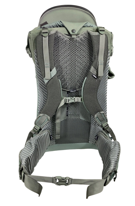 Shop Thule Sapling Child Carrier, Agave at GoodBuy Gear