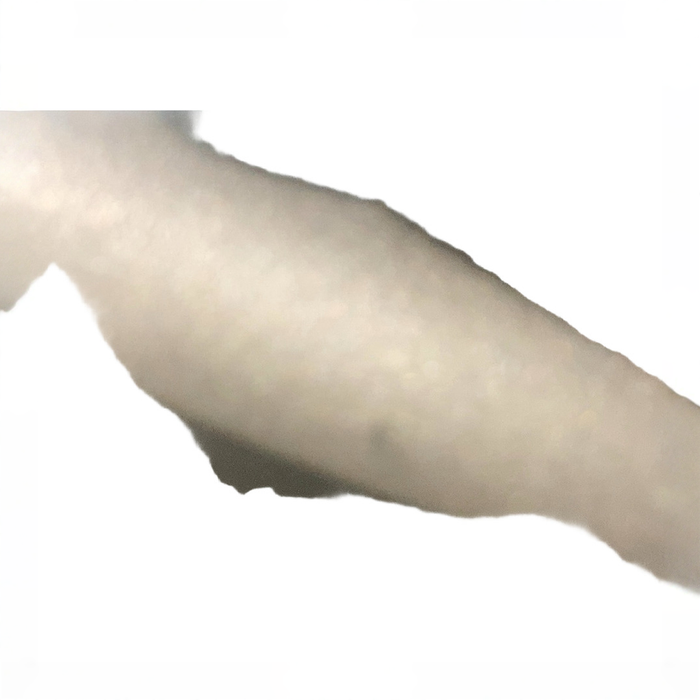 no bg image