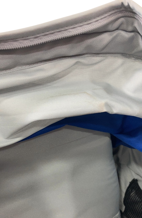 Shop Gladly Family Anthem2 Wagon, Electric Silver at GoodBuy Gear