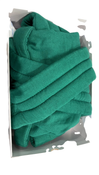 Shop Mabē The Monarch Carrier, Evergreen at GoodBuy Gear