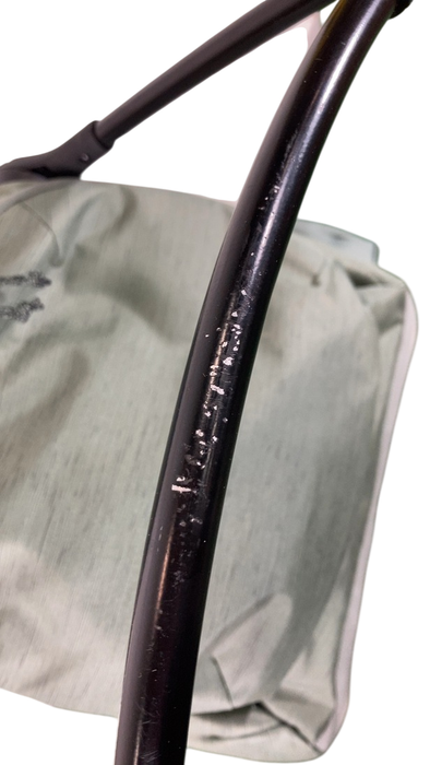 Shop Thule Sapling Child Carrier, Agave at GoodBuy Gear