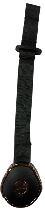 Shop Cybex PRIAM Stroller Frame And Seat, 2022, Rose Gold at GoodBuy Gear