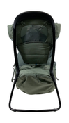 Shop Thule Sapling Child Carrier, Agave at GoodBuy Gear