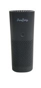 Shop Pure Enrichment Pure Baby On-the-Go Air Purifier, Dark Grey with Removable Clip at GoodBuy Gear