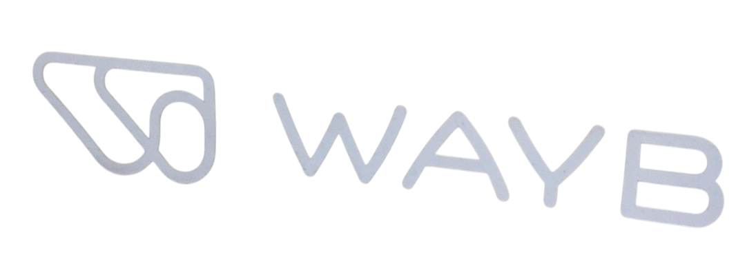 Shop WAYB Pico Portable Car Seat, 2024, Earth at GoodBuy Gear