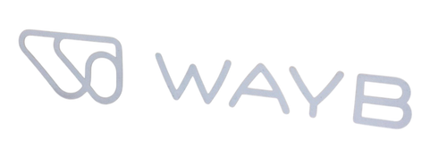 Shop WAYB Pico Portable Car Seat, 2024, Earth at GoodBuy Gear