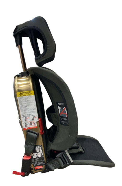 Shop WAYB Pico Portable Car Seat, 2024, Earth at GoodBuy Gear
