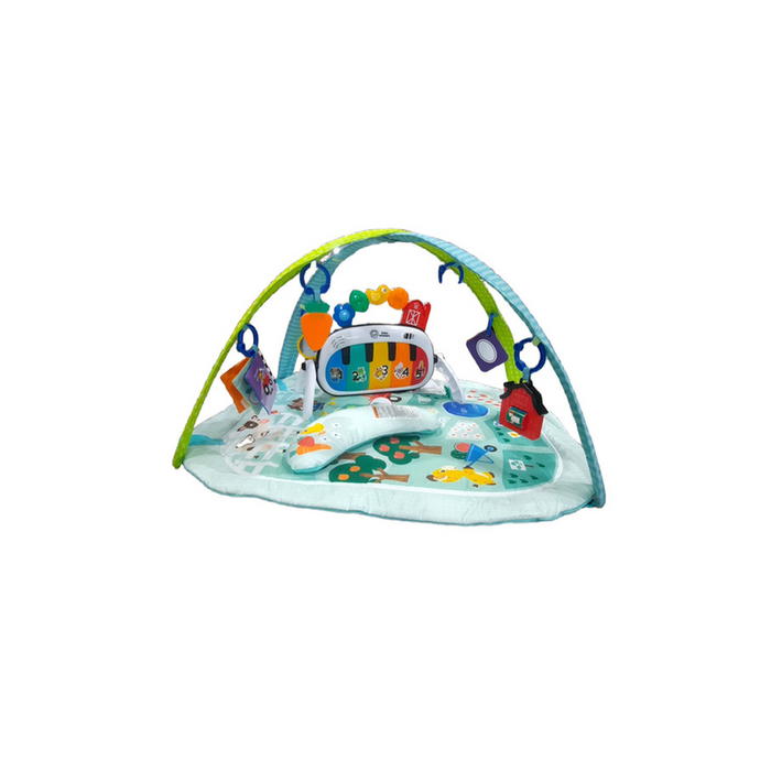 Shop DRAFT - Baby Einstein 4-in-1 Kickin’ Tunes Music Activity Gym, Musical Meadow at GoodBuy Gear
