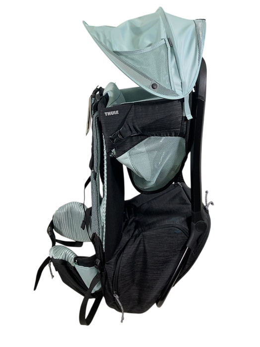 Shop Thule Sapling Child Carrier, Black at GoodBuy Gear