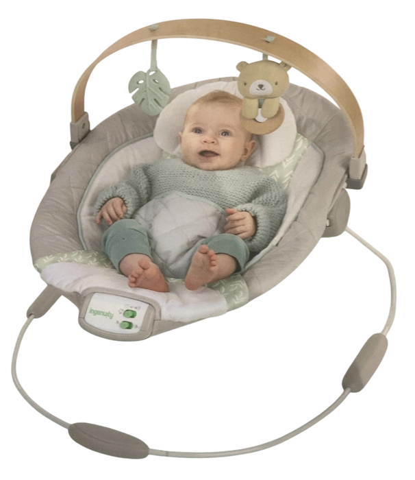 Shop Ingenuity Cozy Spot Swing n Go Portable Swing, Nate at GoodBuy Gear