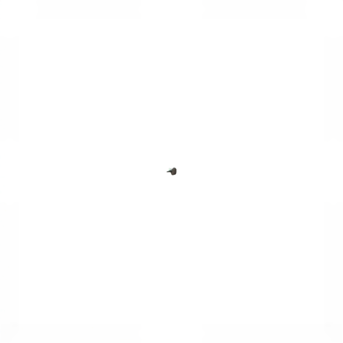 no bg image