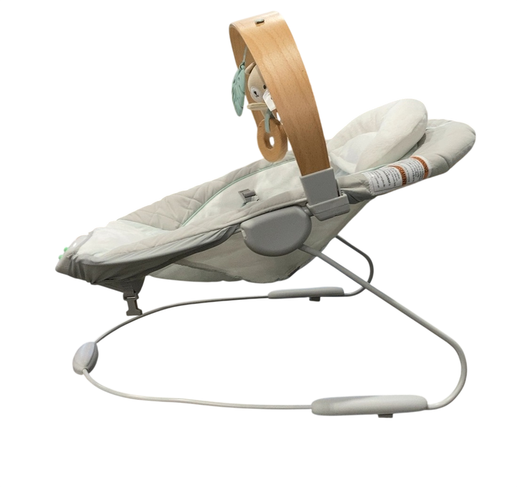 Shop Ingenuity Cozy Spot Soothing Baby Bouncer, Nate at GoodBuy Gear